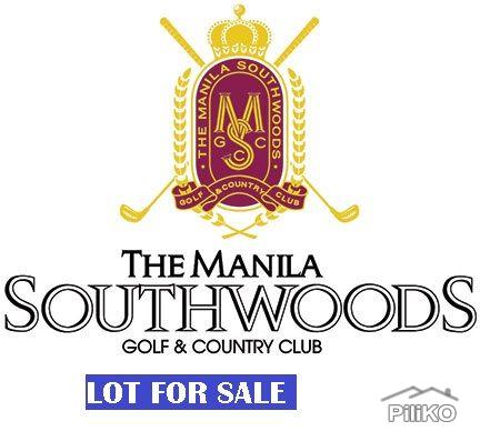 Pictures of Residential Lot for sale in Carmona