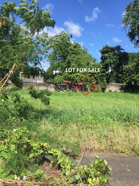 Residential Lot for sale in Carmona in Philippines