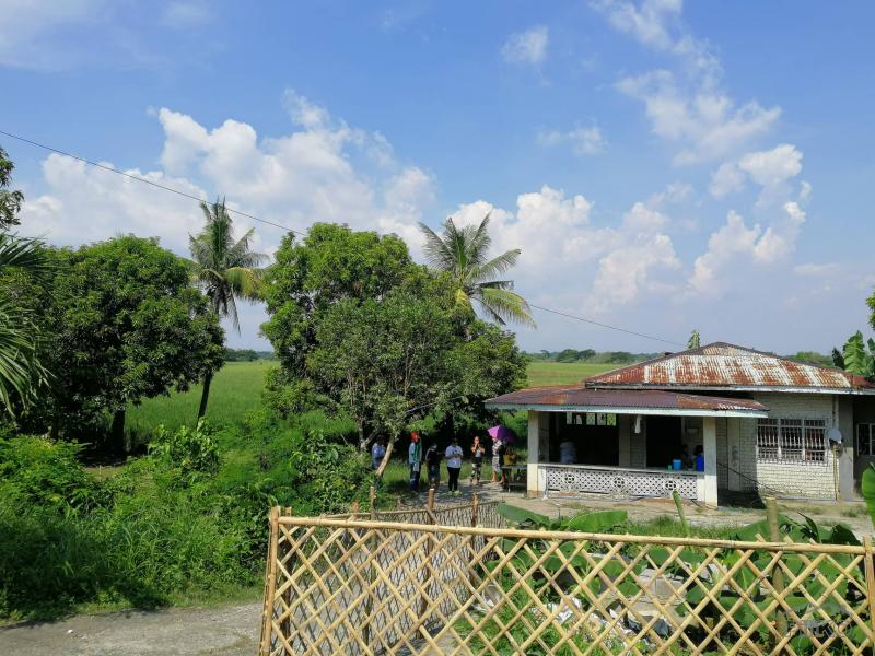 Picture of Land and Farm for sale in Calumpit