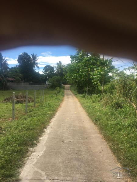 Residential Lot for sale in Calamba - image 10