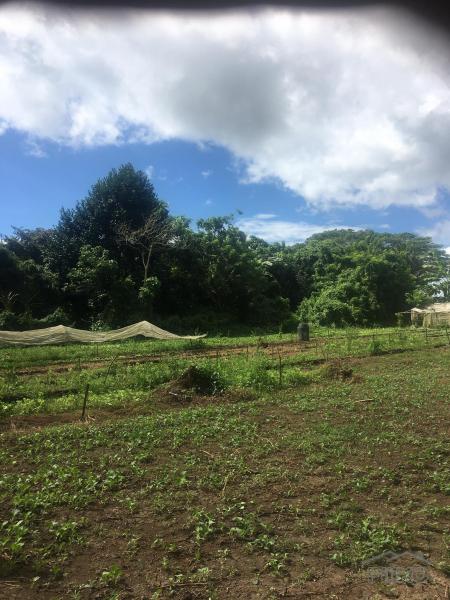 Picture of Residential Lot for sale in Calamba