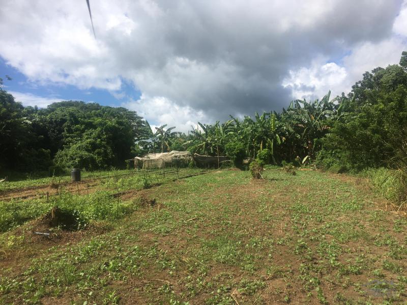 Residential Lot for sale in Calamba