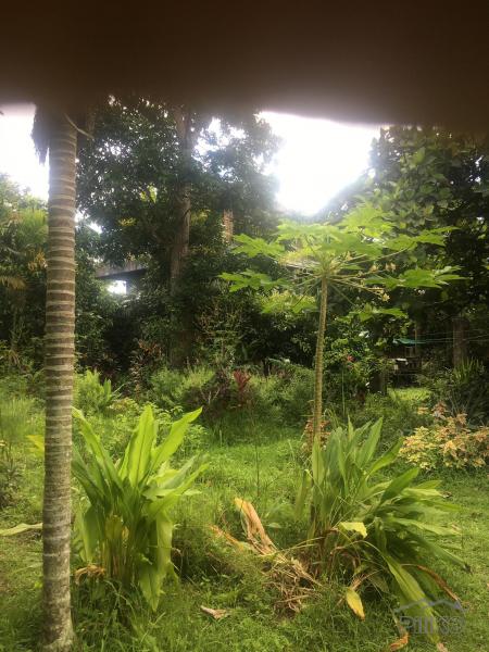 Picture of Residential Lot for sale in Calamba in Laguna