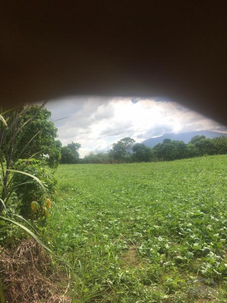 Residential Lot for sale in Calamba in Philippines - image