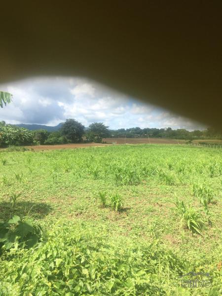 Residential Lot for sale in Calamba - image 9