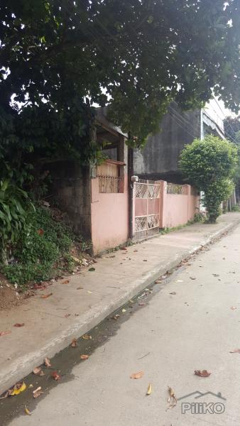 Pictures of Residential Lot for sale in Marikina
