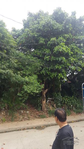 Residential Lot for sale in Marikina - image 2
