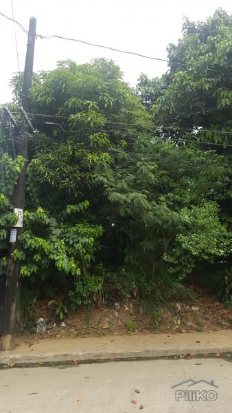 Residential Lot for sale in Marikina - image 3