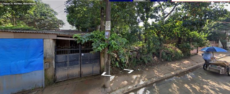 Picture of Residential Lot for sale in Marikina in Metro Manila