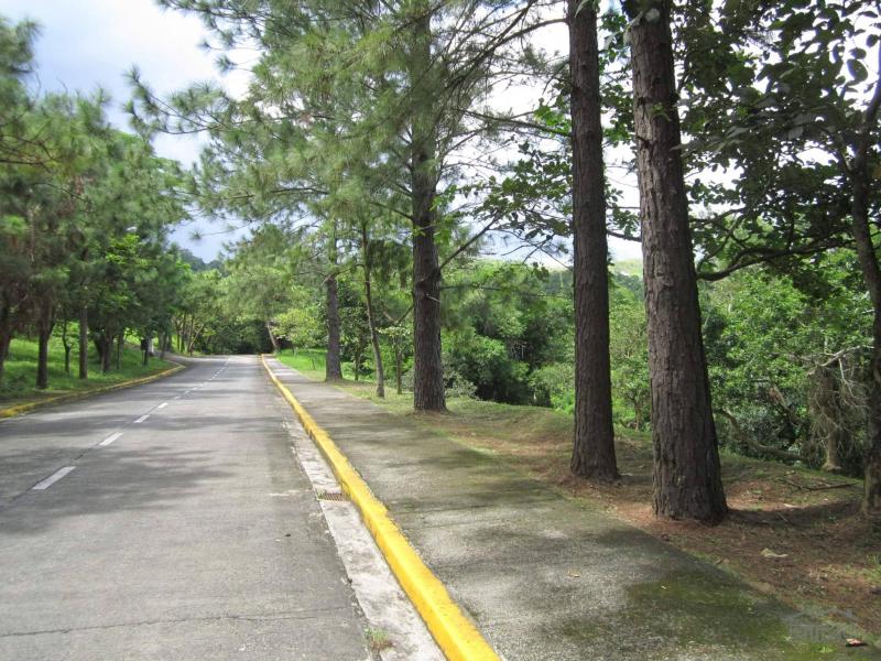 Picture of Residential Lot for sale in Laurel in Philippines