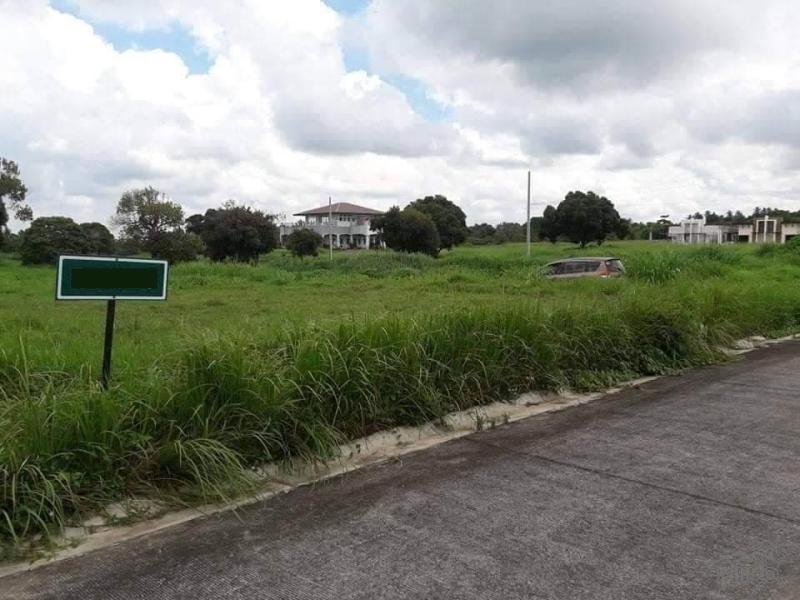 Residential Lot for sale in Alfonso in Philippines