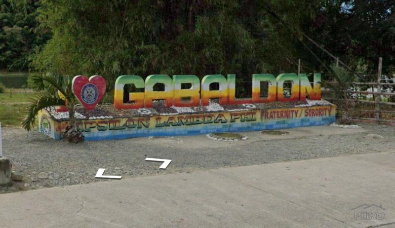 Land and Farm for sale in Gabaldon - image 2