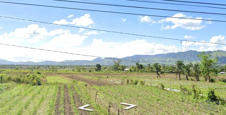 Land and Farm for sale in Gabaldon in Nueva Ecija