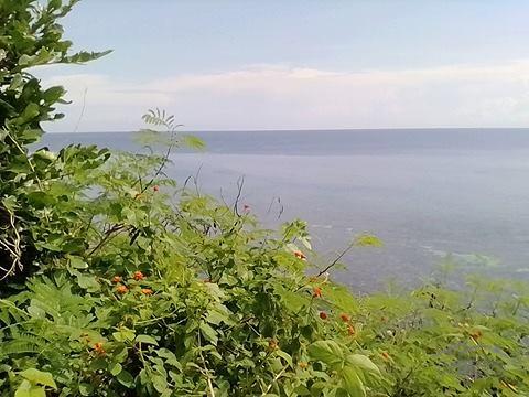 Picture of Other lots for sale in Lazi