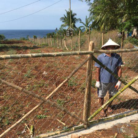 Pictures of Other lots for sale in Lazi