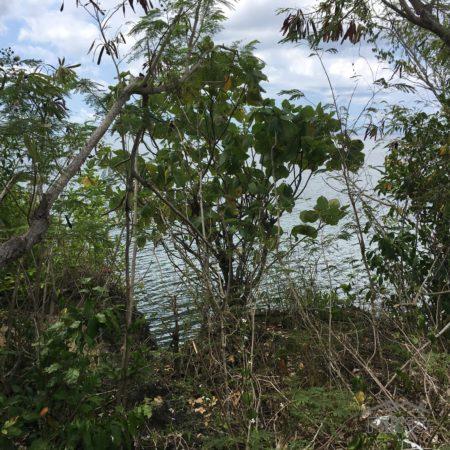 Other lots for sale in Lazi