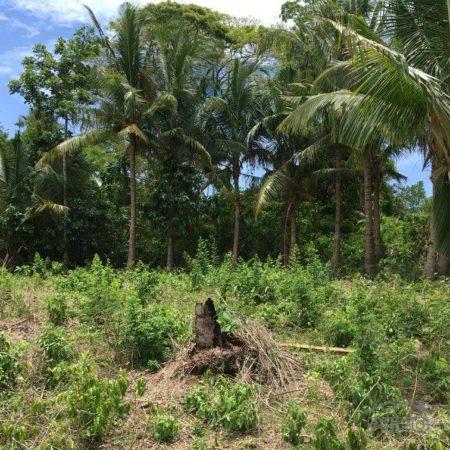 Lot for sale in San Juan