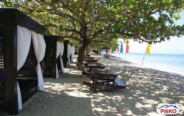 Residential Lot for sale in Calatagan - image 10