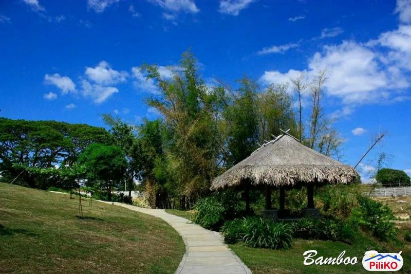 Residential Lot for sale in Calatagan - image 12