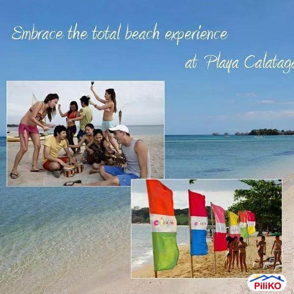 Pictures of Residential Lot for sale in Calatagan