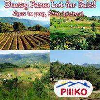Pictures of Residential Lot for sale in Cebu City