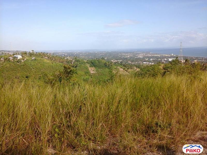 Pictures of Residential Lot for sale in Cebu City