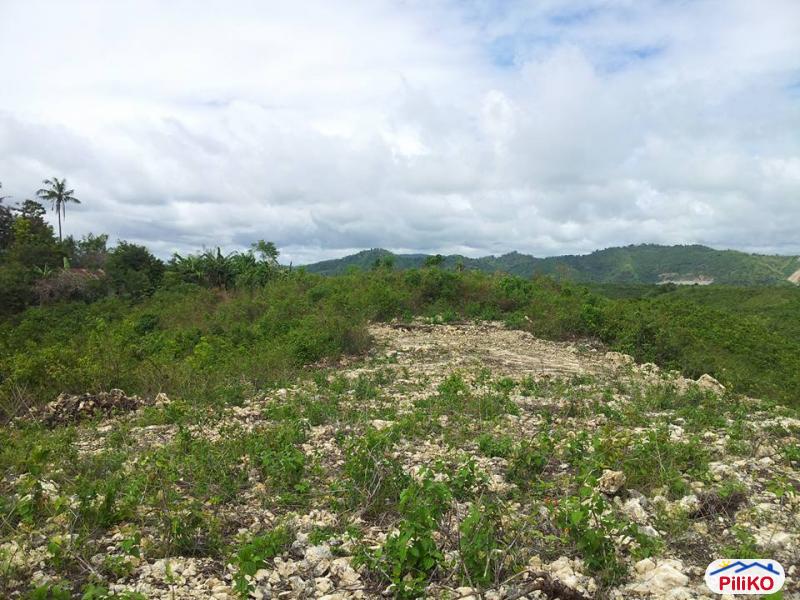 Picture of Residential Lot for sale in Cebu City