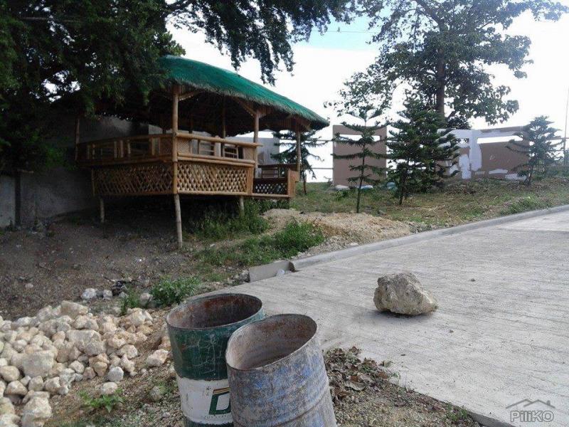 Pictures of Residential Lot for sale in Mandaue