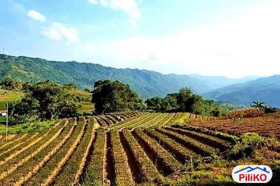 Residential Lot for sale in Cebu City - image 2