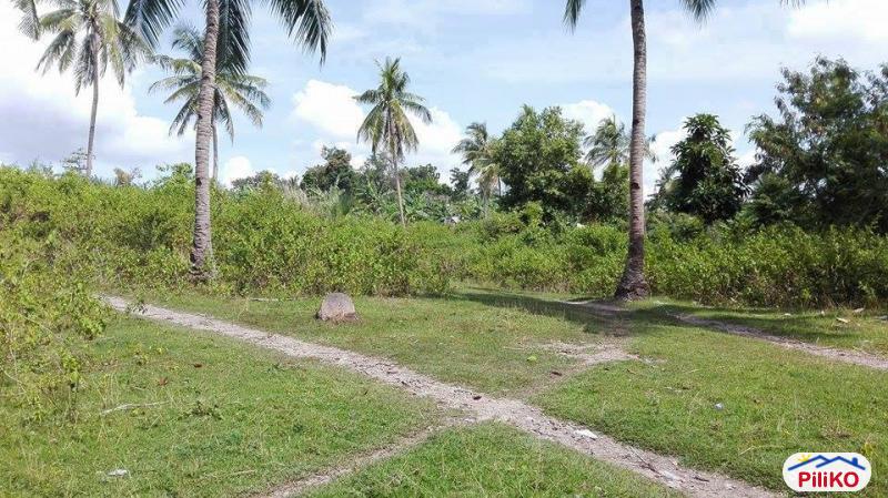 Residential Lot for sale in Cebu City - image 2