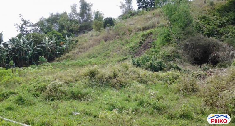Residential Lot for sale in Cebu City