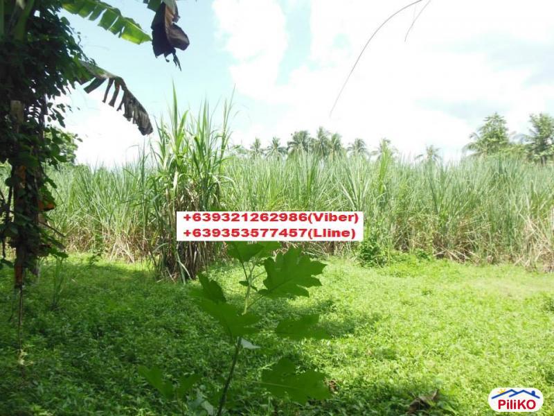 Residential Lot for sale in Cebu City - image 2