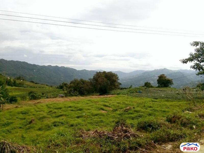 Residential Lot for sale in Cebu City - image 3