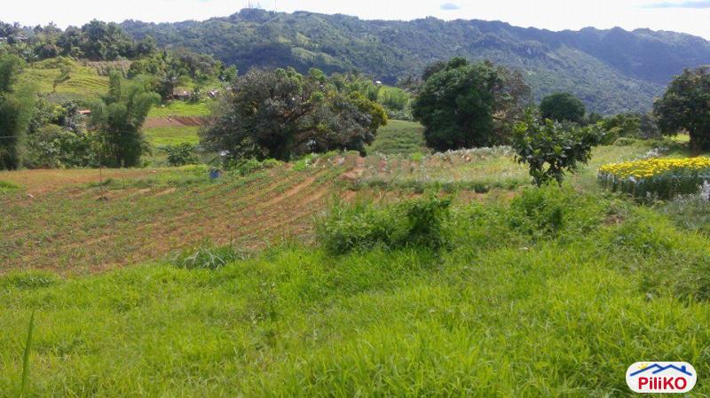 Agricultural Lot for sale in Cebu City in Cebu