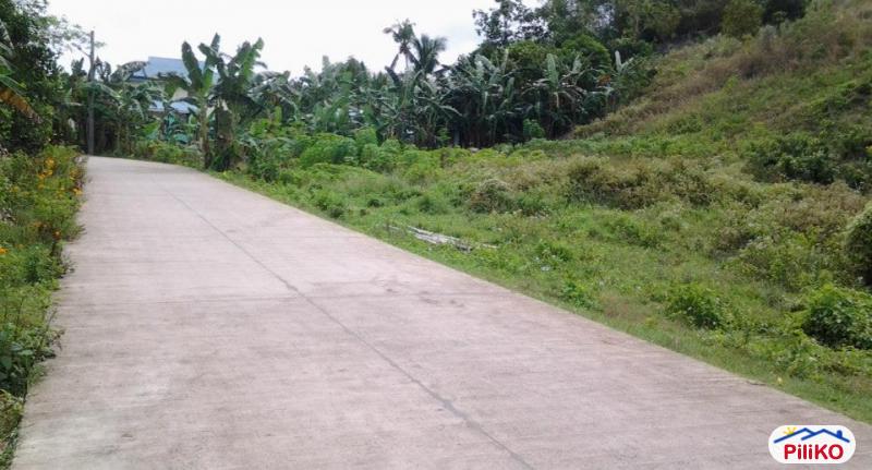 Residential Lot for sale in Cebu City in Cebu