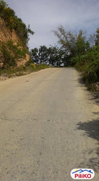Residential Lot for sale in Cebu City - image 3