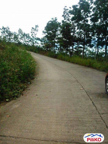 Residential Lot for sale in Cebu City - image 3