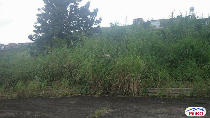 Residential Lot for sale in Cebu City - image 3