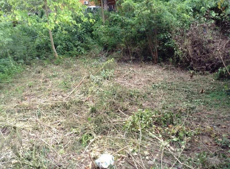 Residential Lot for sale in Consolacion - image 3