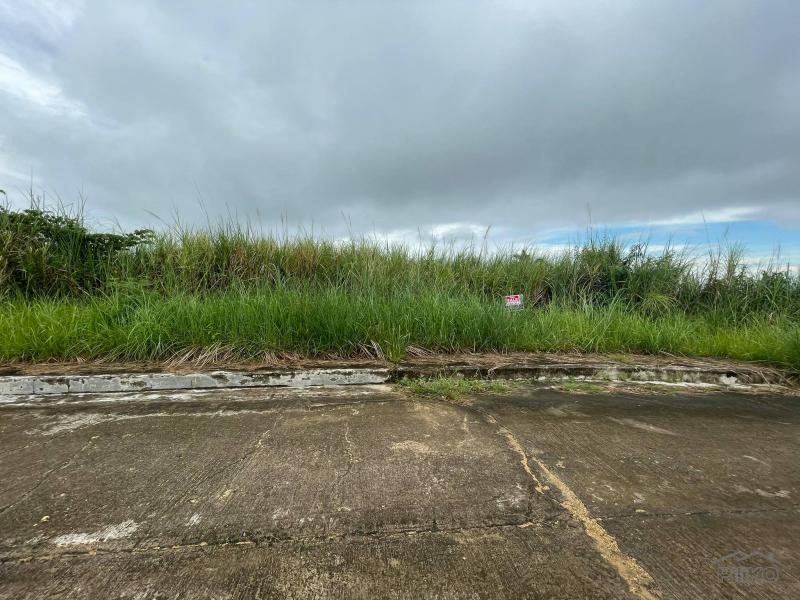 Residential Lot for sale in Talisay