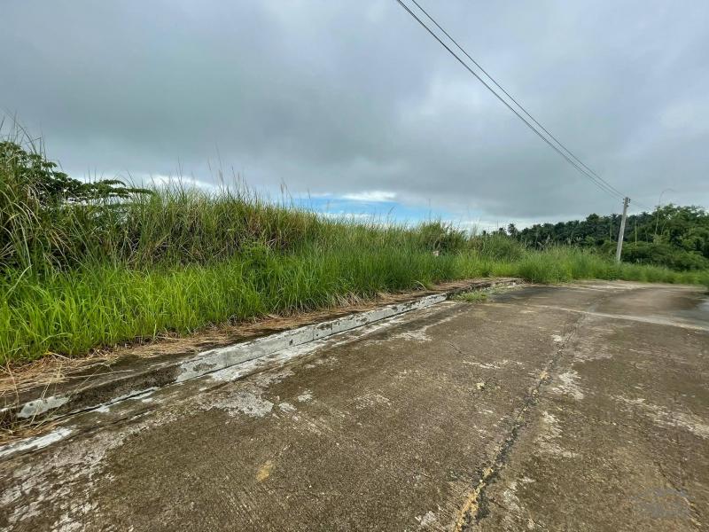 Residential Lot for sale in Talisay in Philippines