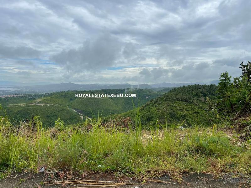 Residential Lot for sale in Talisay - image 2