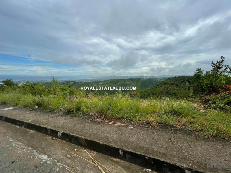 Residential Lot for sale in Talisay - image 4