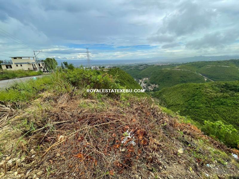 Residential Lot for sale in Talisay - image 5