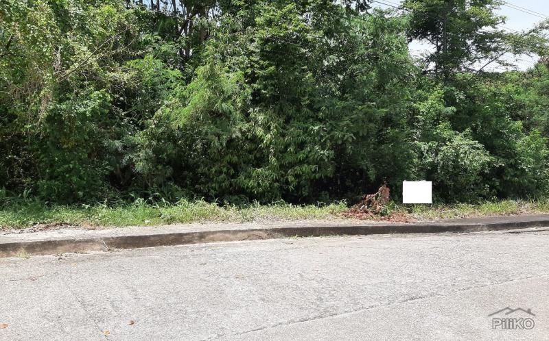 Residential Lot for sale in Consolacion - image 2
