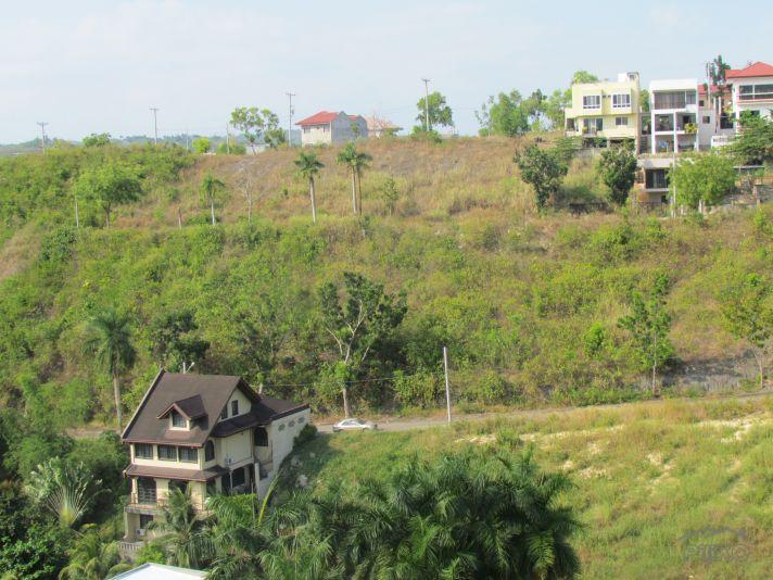 Residential Lot for sale in Consolacion - image 4
