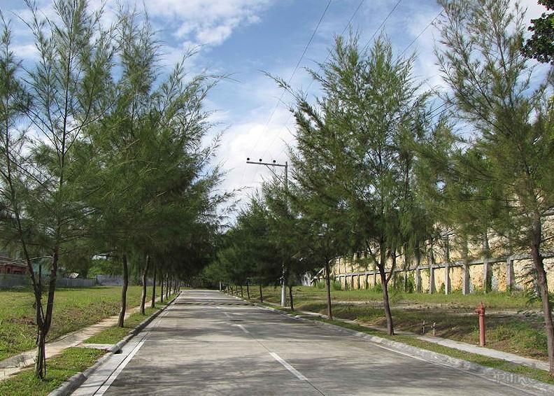 Residential Lot for sale in Consolacion - image 3