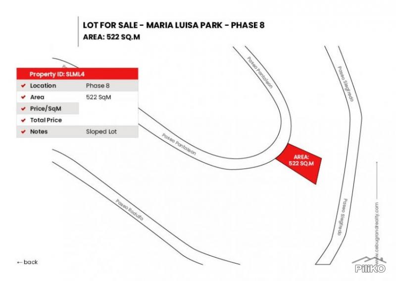 Residential Lot for sale in Cebu City - image 5
