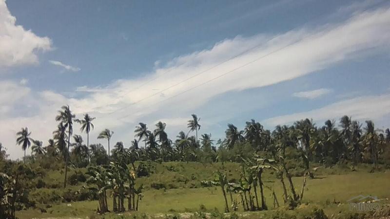 Agricultural Lot for sale in Asturias in Philippines