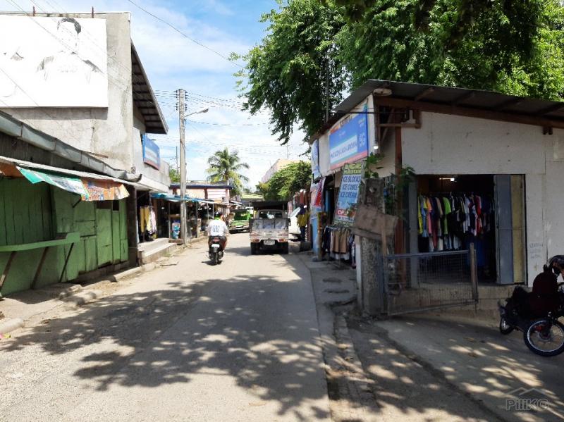Pictures of Commercial Lot for sale in Mandaue